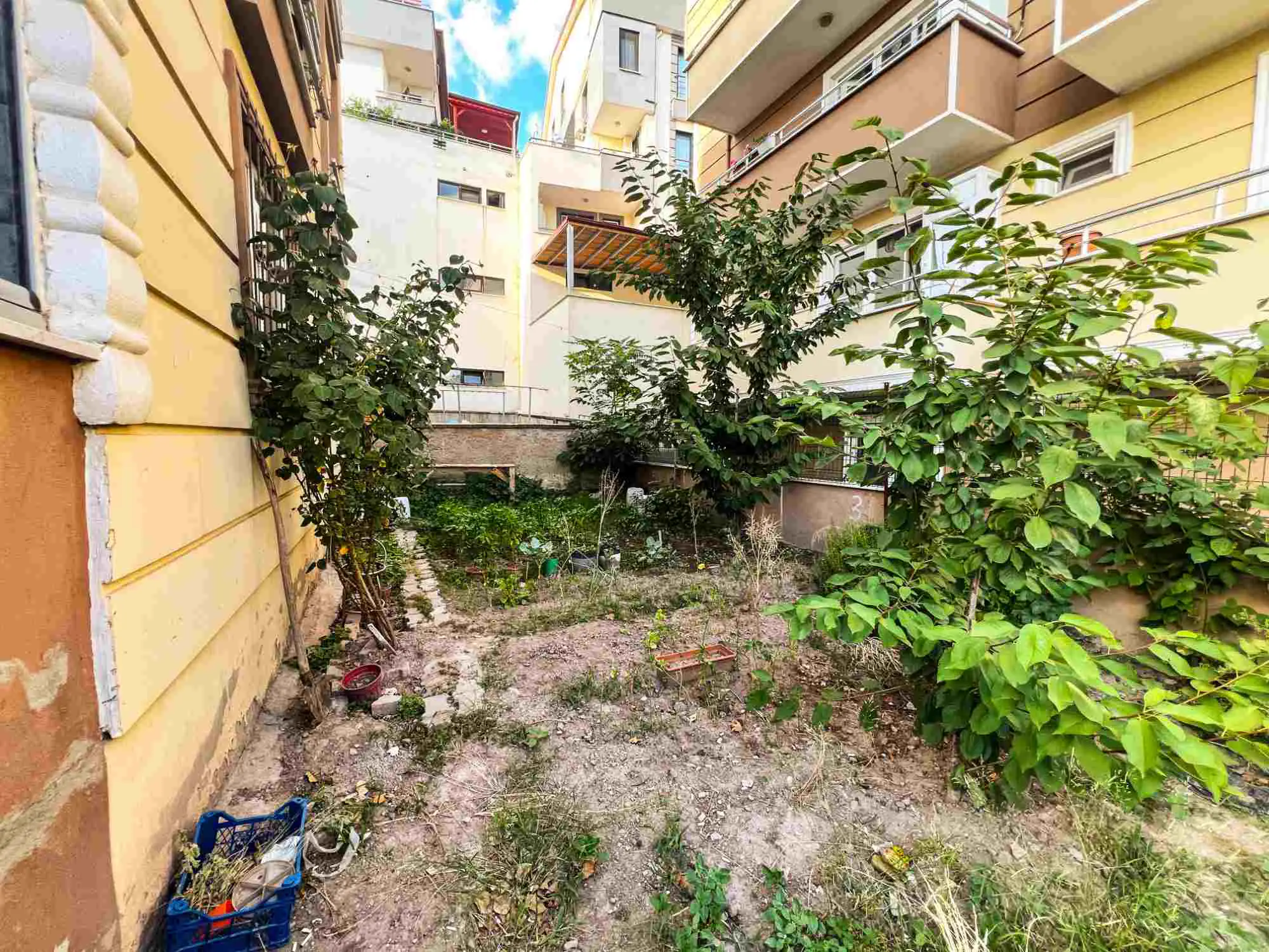 Property image 40