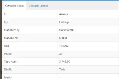 GÖLBAŞI HACIMURATLI'DA YATIRIM DEĞERİ YÜKSEK TARLA
