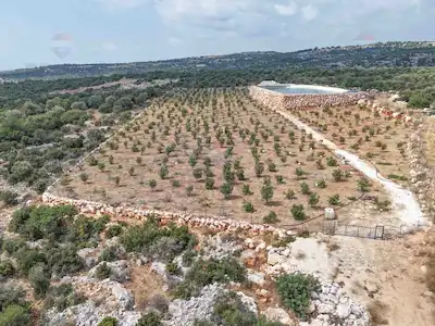 REMAX AVLU'DAN AYAŞ'TA 9.474 M² SATILIK BAHÇE