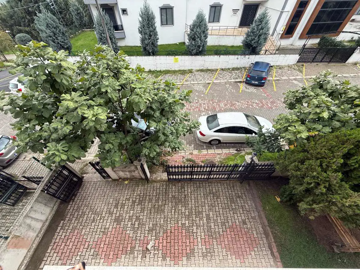 Property image 39
