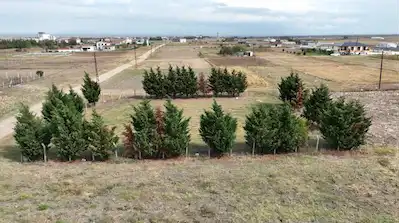 AHİMEHMET'TE OTOBANA YAKIN İMARLI KÖŞE KONUMLU FIRSAT ARSA