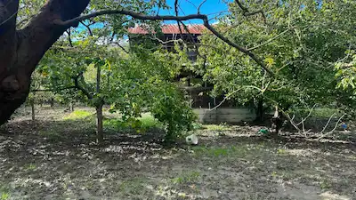 SEDA TERZİOĞLUNDAN GEYVEDE SATILIK BAĞ EVİ VE ARSASI 9.946 M2