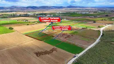 RE/MAX İNCİ'DEN BALIKESİR ALTIEYLÜL YAKUPKÖY’DE SATILIK TARLALAR 