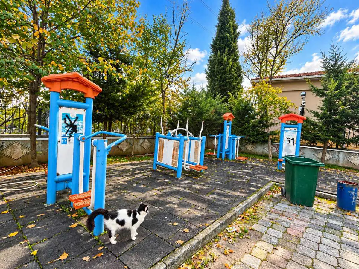 Property image 29