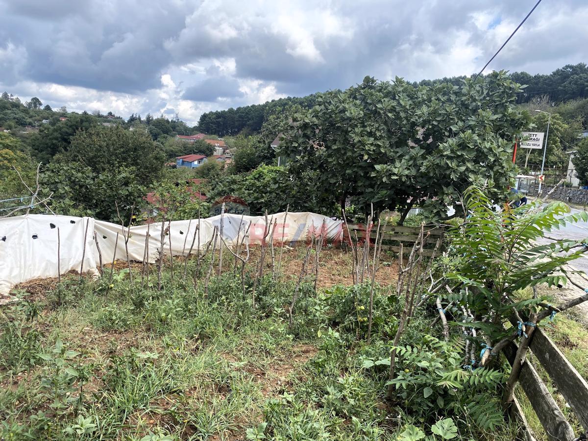 Beykoz Elmalı köyünde Acarkent’e yakın imarlı Satılık Arsa