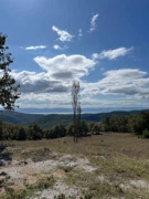 REMAX FREKANS’TAN İZNİK MECİDİYE DE SATILIK 5875 M2 TARLA