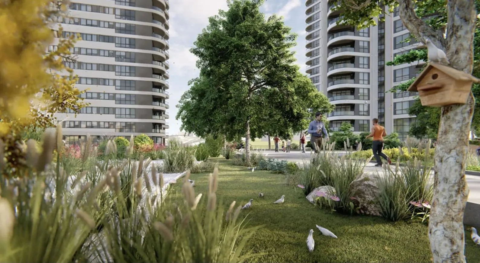 Property image 24
