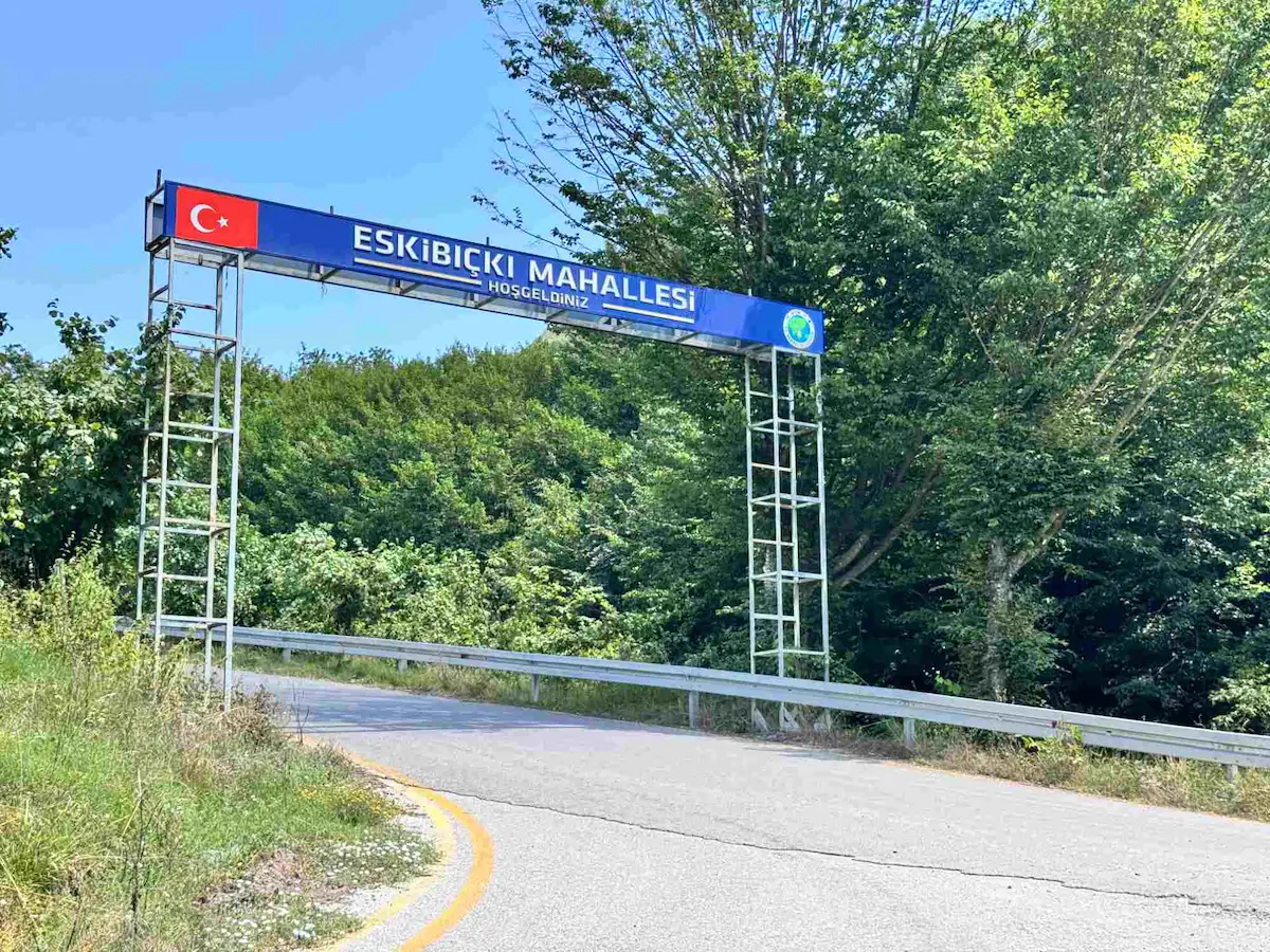 HENDEK ESKIBIÇKI'DA 57 DÖNÜM FINDIK BAHÇESI & KARGIR EV