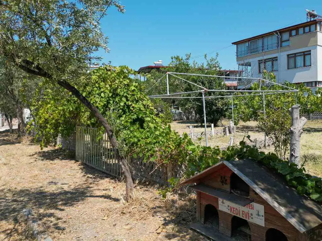 Property image 8