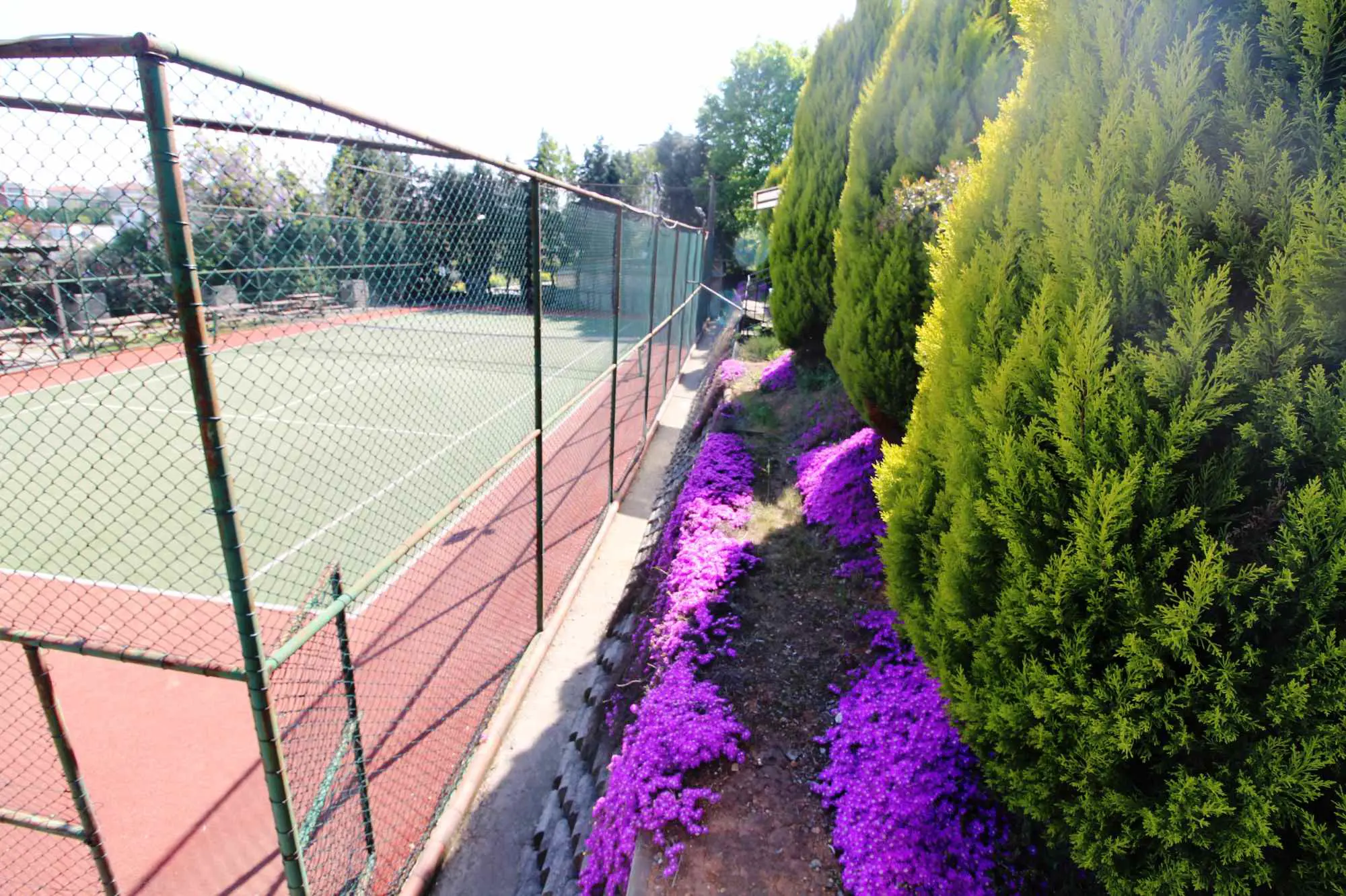 Property image 24