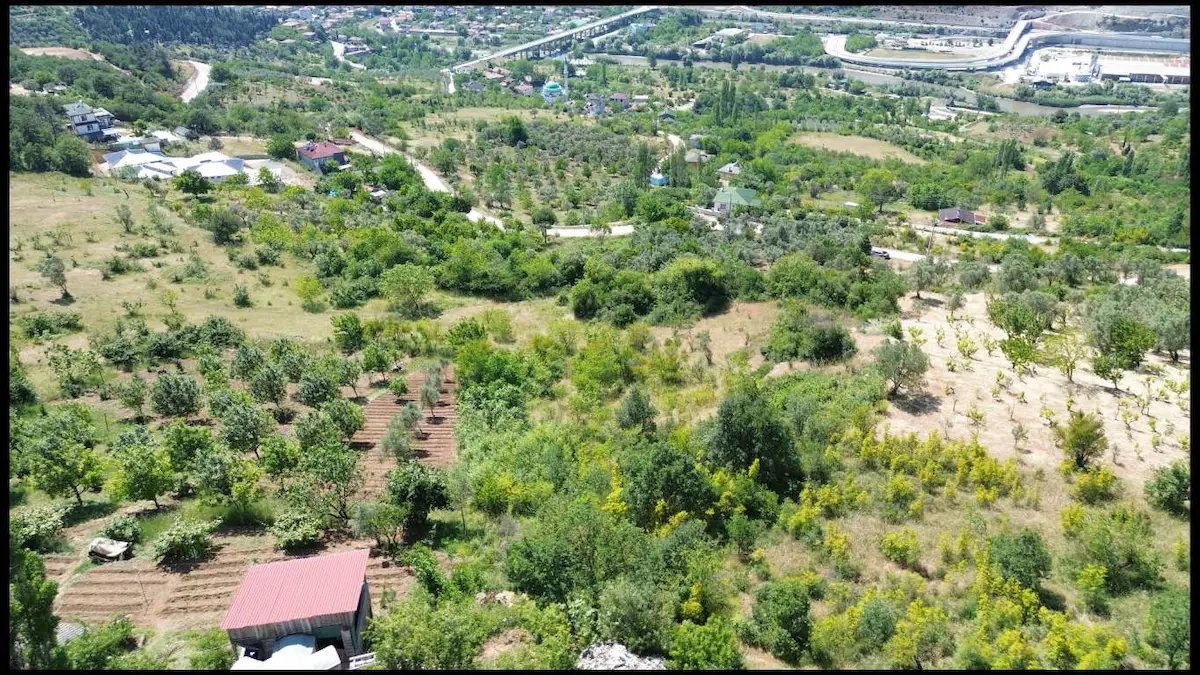 RE/MAX RIDVAN GEDİKTEN GEYVE EPÇELERDE 2.981 M² SATILIK BAĞ