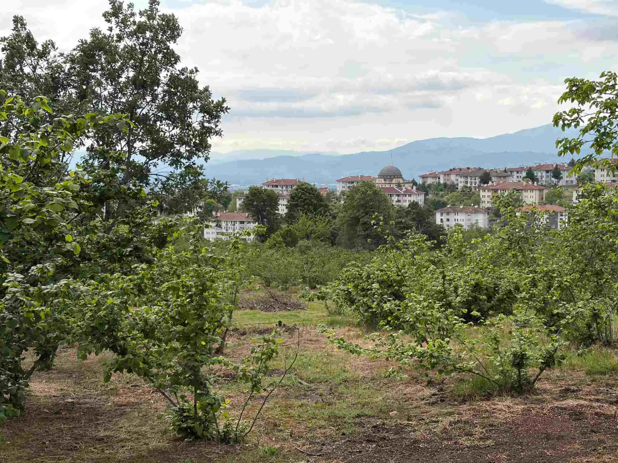Property image 22