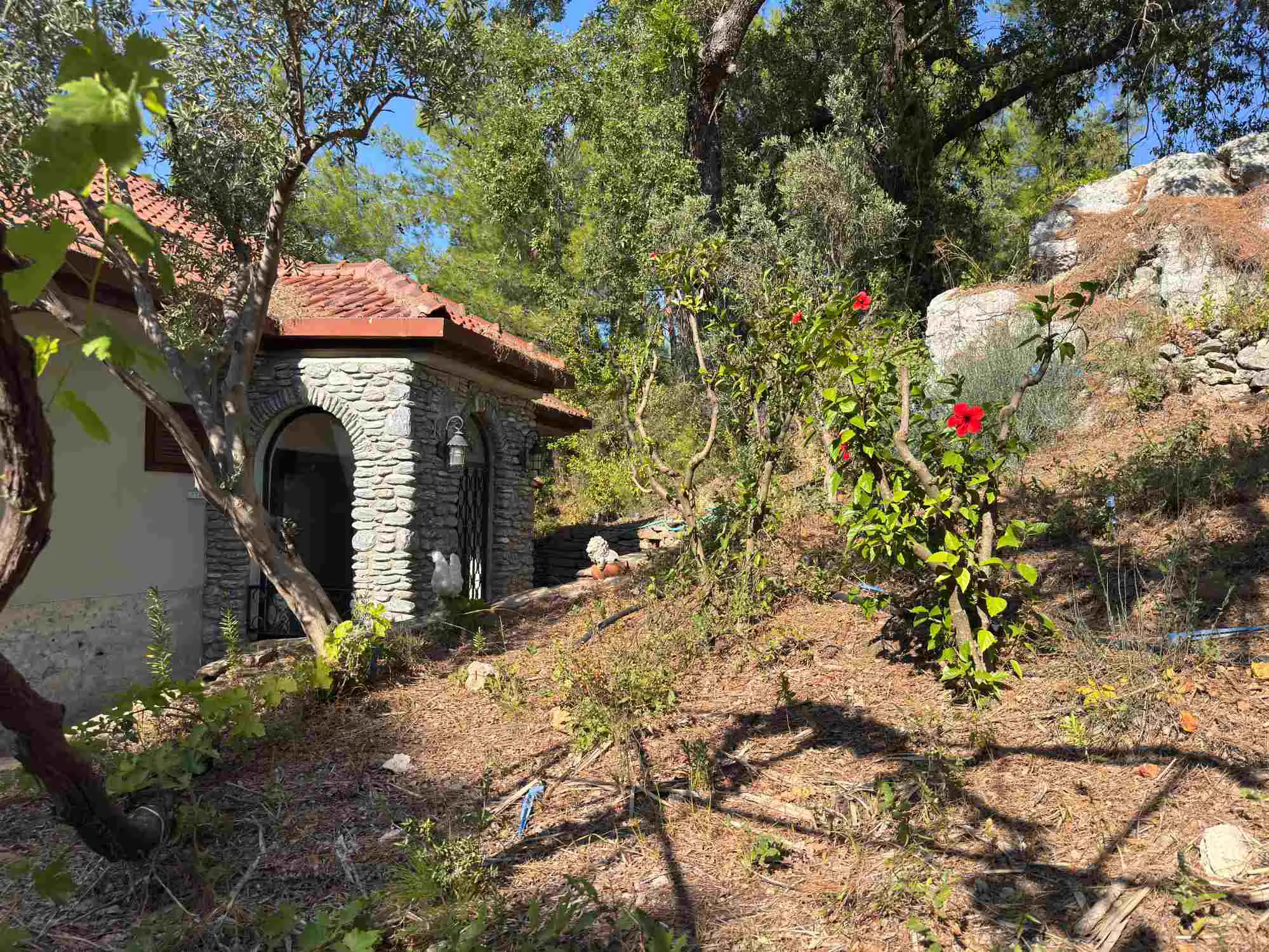 Property image 17