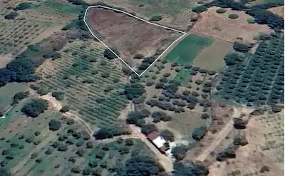 ÇANAKKALE BAYRAMİÇ YASSIBAĞ KÖYÜNDE SATILIK YATIRIMLIK TARLA