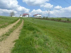 KAÇIRILMAZ FIRSAT SATILIK 2438 M2 TARLA KÖRFEZ/ŞEMSETTİN