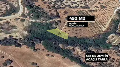 KARABURUN HASEKİDE 452 M² ZEYTİN AĞAÇLI HOBİ AMAÇLI TARLA