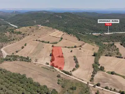 ÇANAKKALE LAPSEKİ DİŞBUDAK KÖYÜ'NDE YOLA CEPHELİ 3393M2 SATILIK TARLA