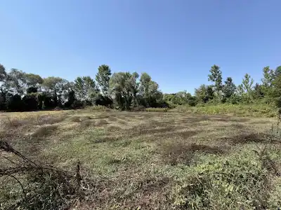 ADAPAZARI SALMANLI KAVAKLI MAHALLESİNDE YATIRIMLIK TARLA