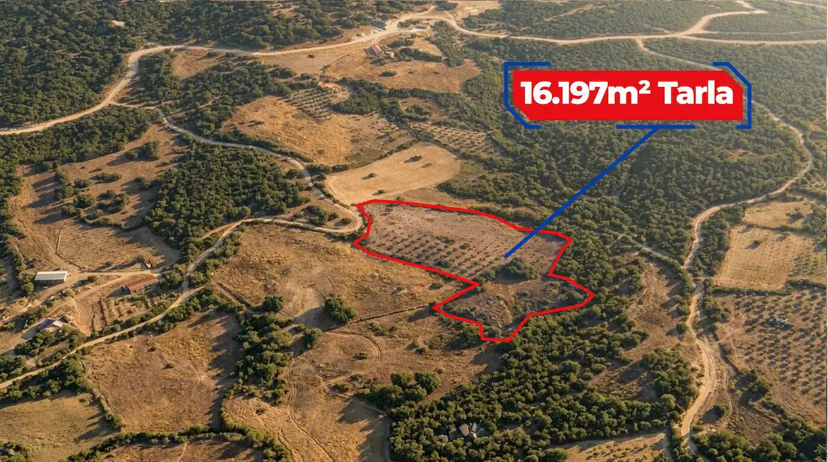 RE/MAX İNCİ'DEN SAVAŞTEPE YEŞİLHİSAR’DA 16.000 M² SATILIK ZEYTİNLİK 