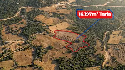 RE/MAX İNCİ'DEN SAVAŞTEPE YEŞİLHİSAR’DA 16.000 M² SATILIK ZEYTİNLİK