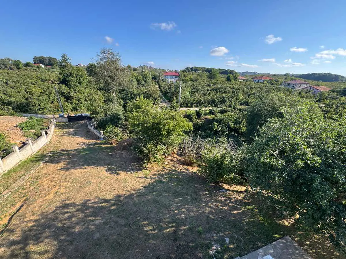 Property image 45