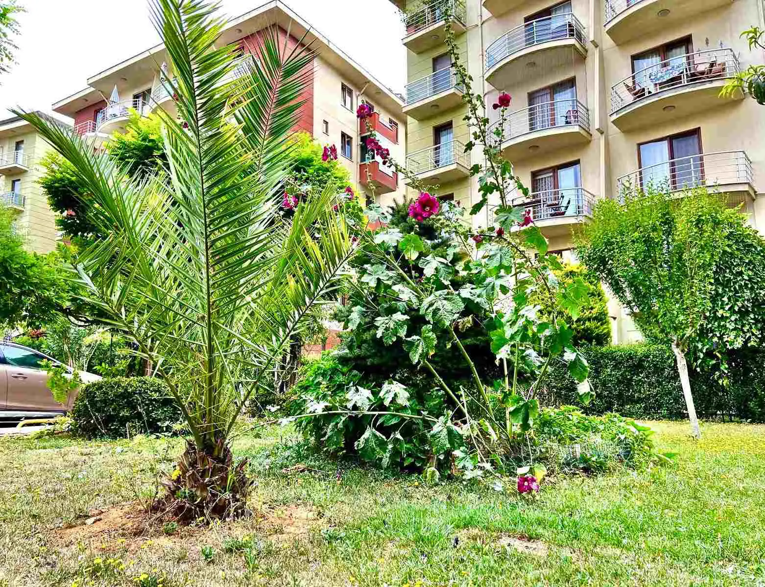 Property image 23