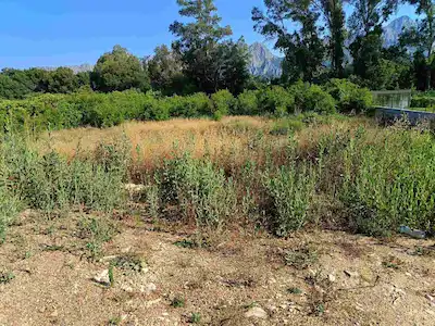 KONYAALTI GÖKÇAM'DA RIZA-İ TAKSİMLİ 2648M² SATILIK TARLA