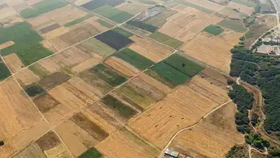 RE/MAZ İNCİ'DEN İVRİNDİ GÖKÇEYAZI’DA SATILIK 3.909M² HOBİ BAHÇESİ -TARLA