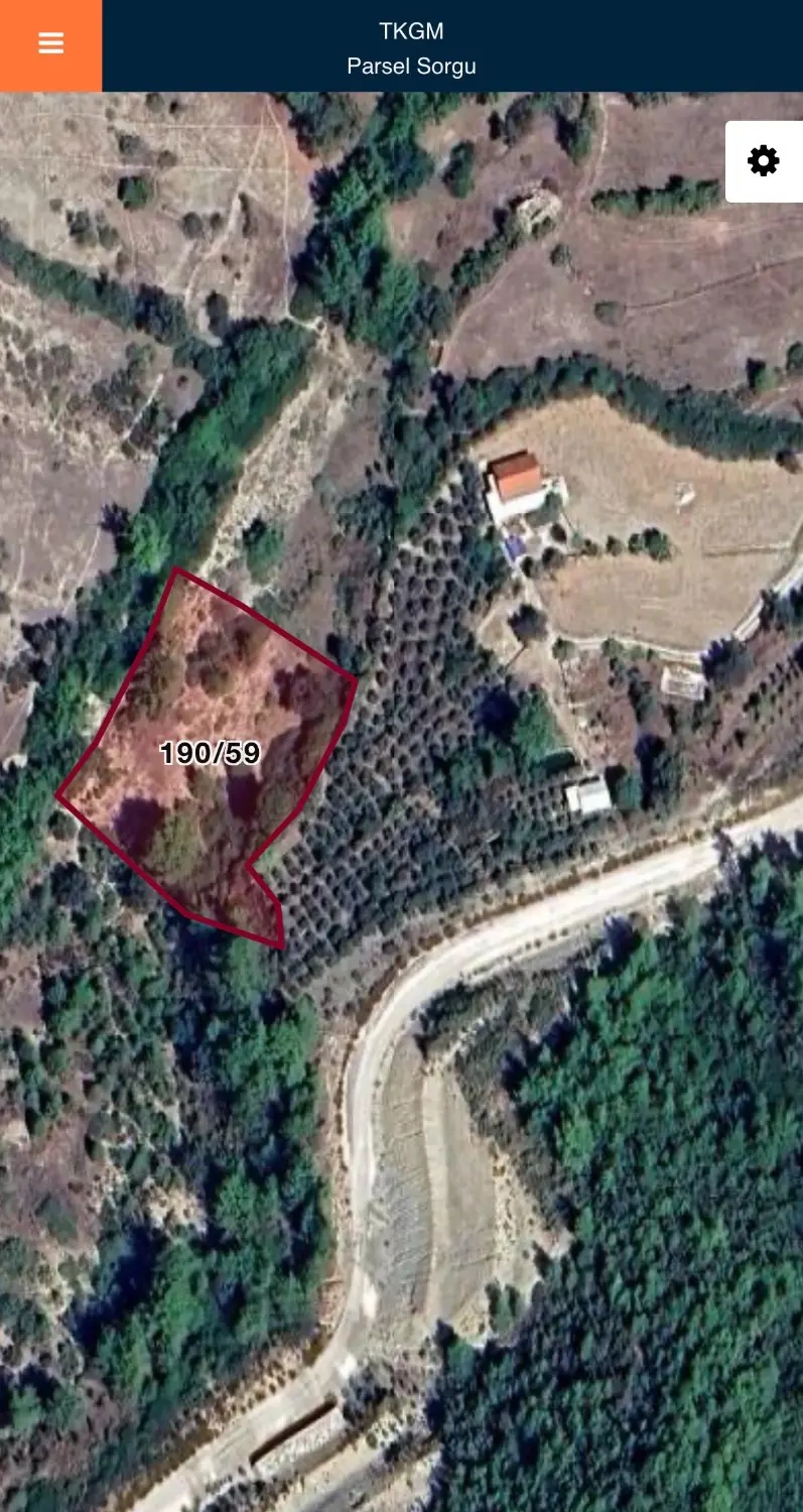 Property image 19