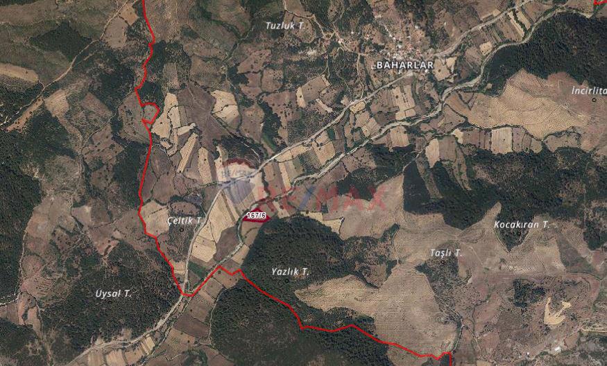 ÇANAKKALE AYVACIK BAHARLAR KÖYÜ SATILIK TEK TAPU TARLA