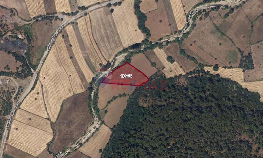 ÇANAKKALE AYVACIK BAHARLAR KÖYÜ SATILIK TEK TAPU TARLA