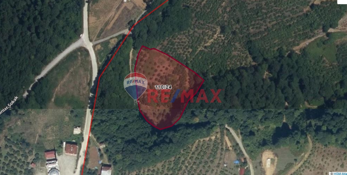 SAMET'TEN ÇAMALAN KÖYÜNDE SATILIK 6097 M2 TARLA