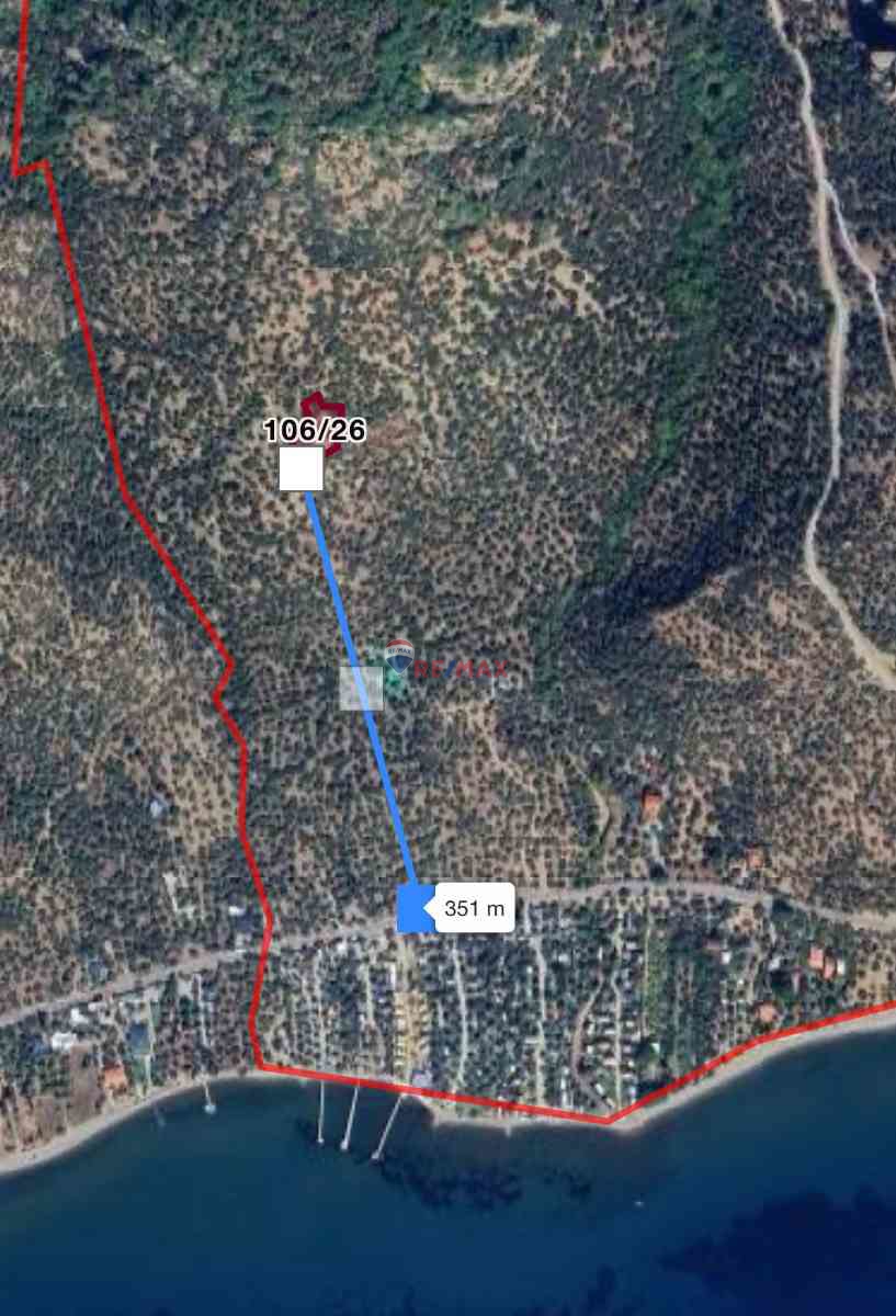 ARIKLI KÖYÜ’NDE UYGUN FİYATA SATILIK YATIRIMLIK ZEYTİNLİK FIRSATI!