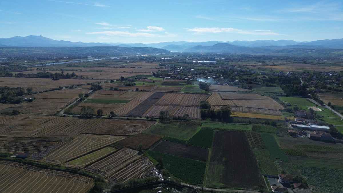 IBRAHİM BÜLBÜL'DEN BAFRA ADAKÖYDE SATILIK TARLA/ ARAZİ