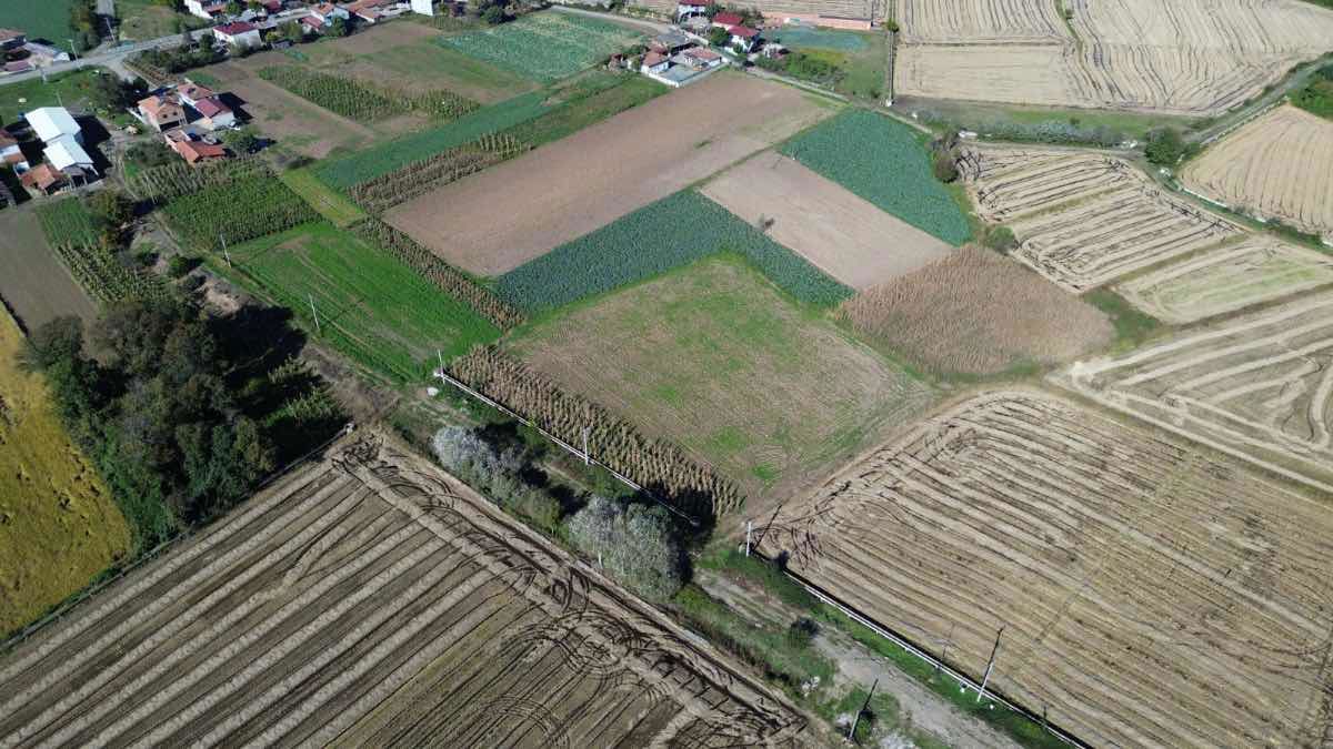 IBRAHİM BÜLBÜL'DEN BAFRA ADAKÖYDE SATILIK TARLA/ ARAZİ