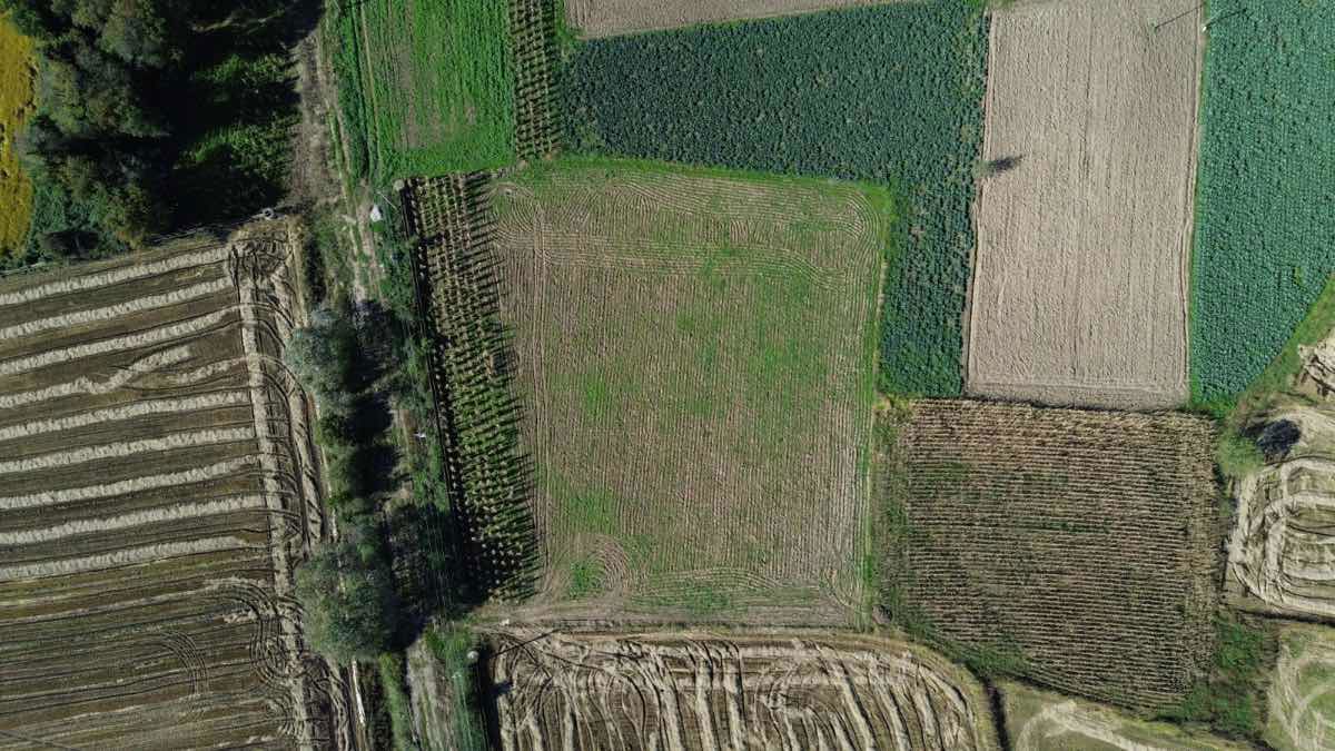 IBRAHİM BÜLBÜL'DEN BAFRA ADAKÖYDE SATILIK TARLA/ ARAZİ