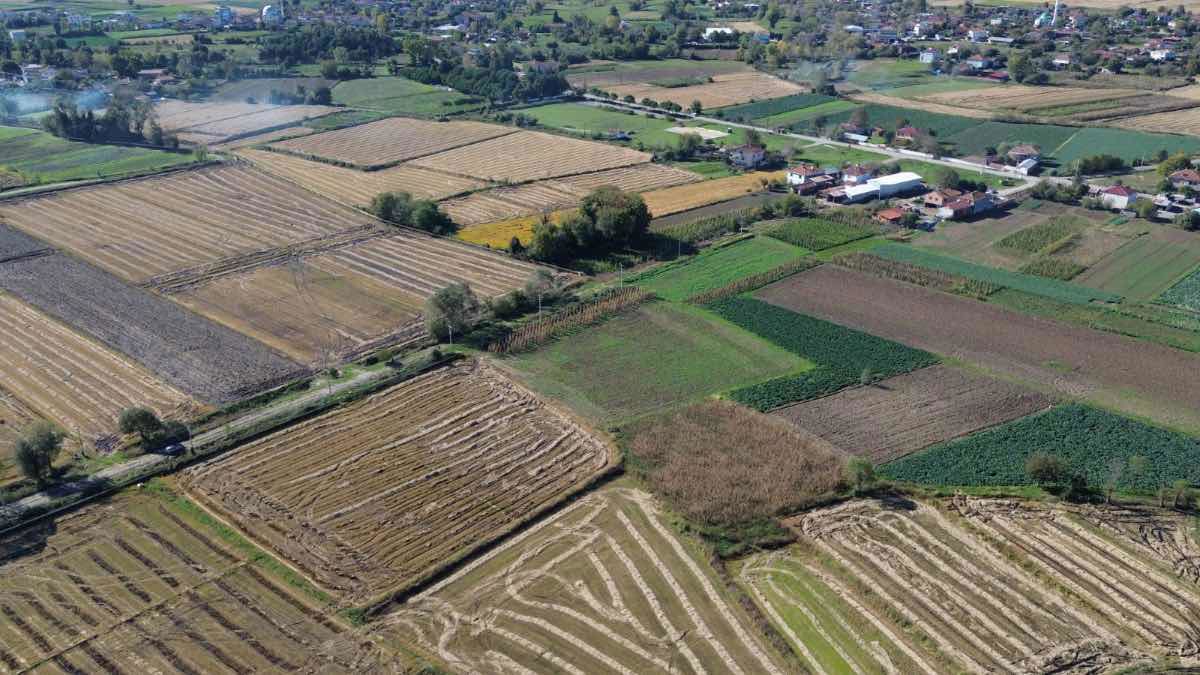 IBRAHİM BÜLBÜL'DEN BAFRA ADAKÖYDE SATILIK TARLA/ ARAZİ