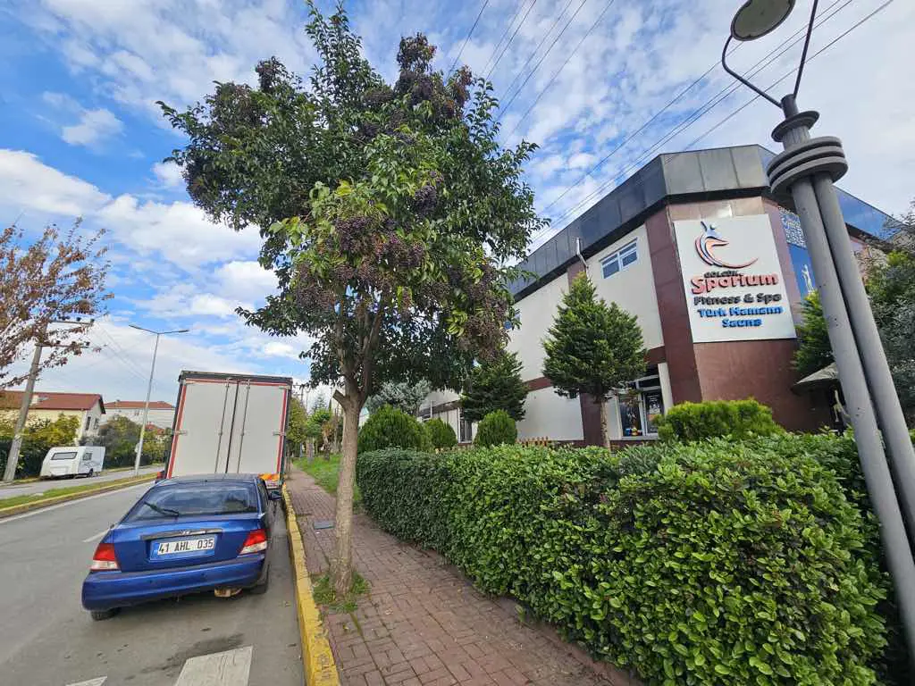 Property image 12