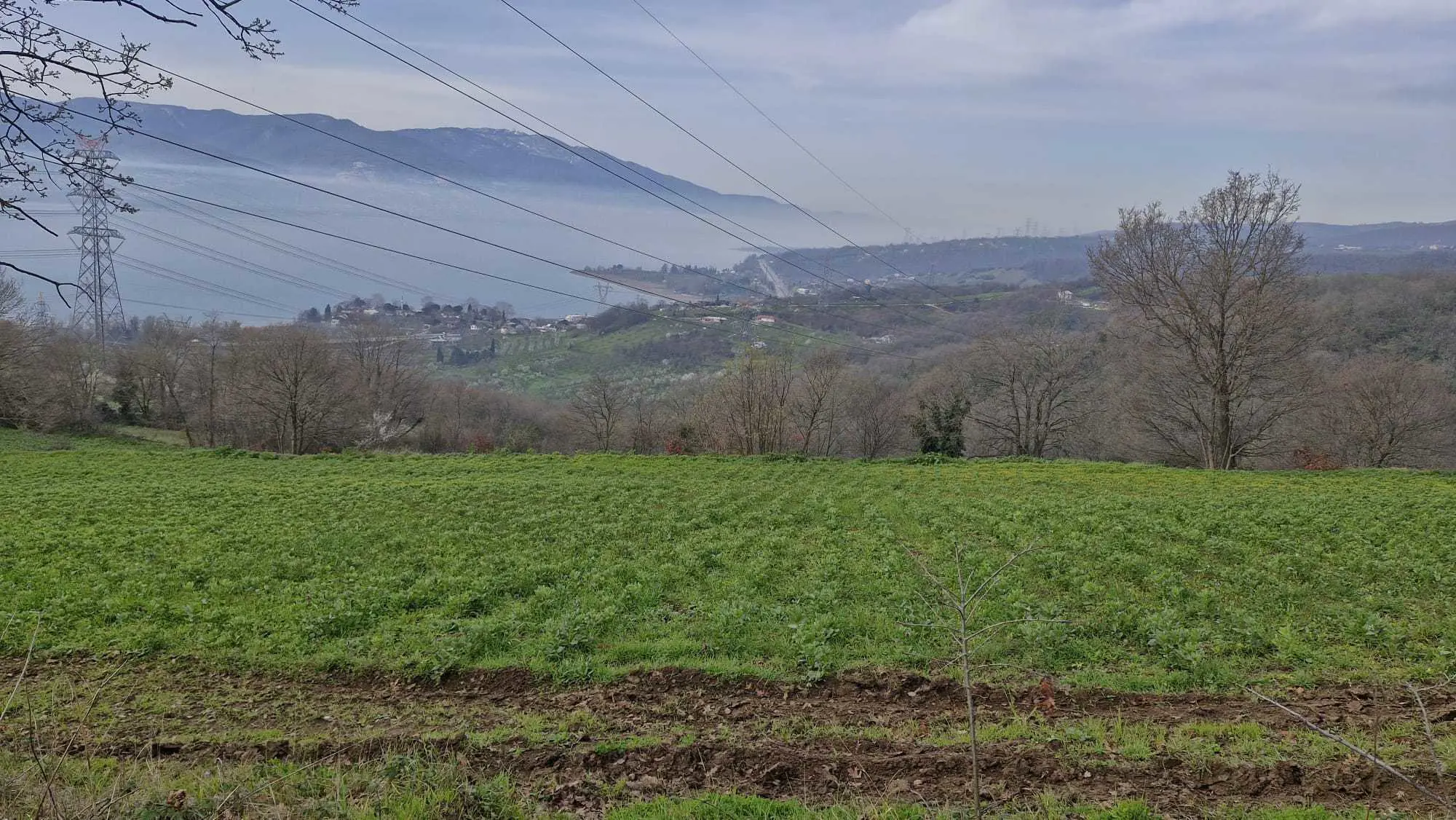 Property image 27