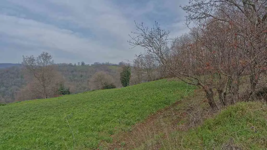 Property image 18