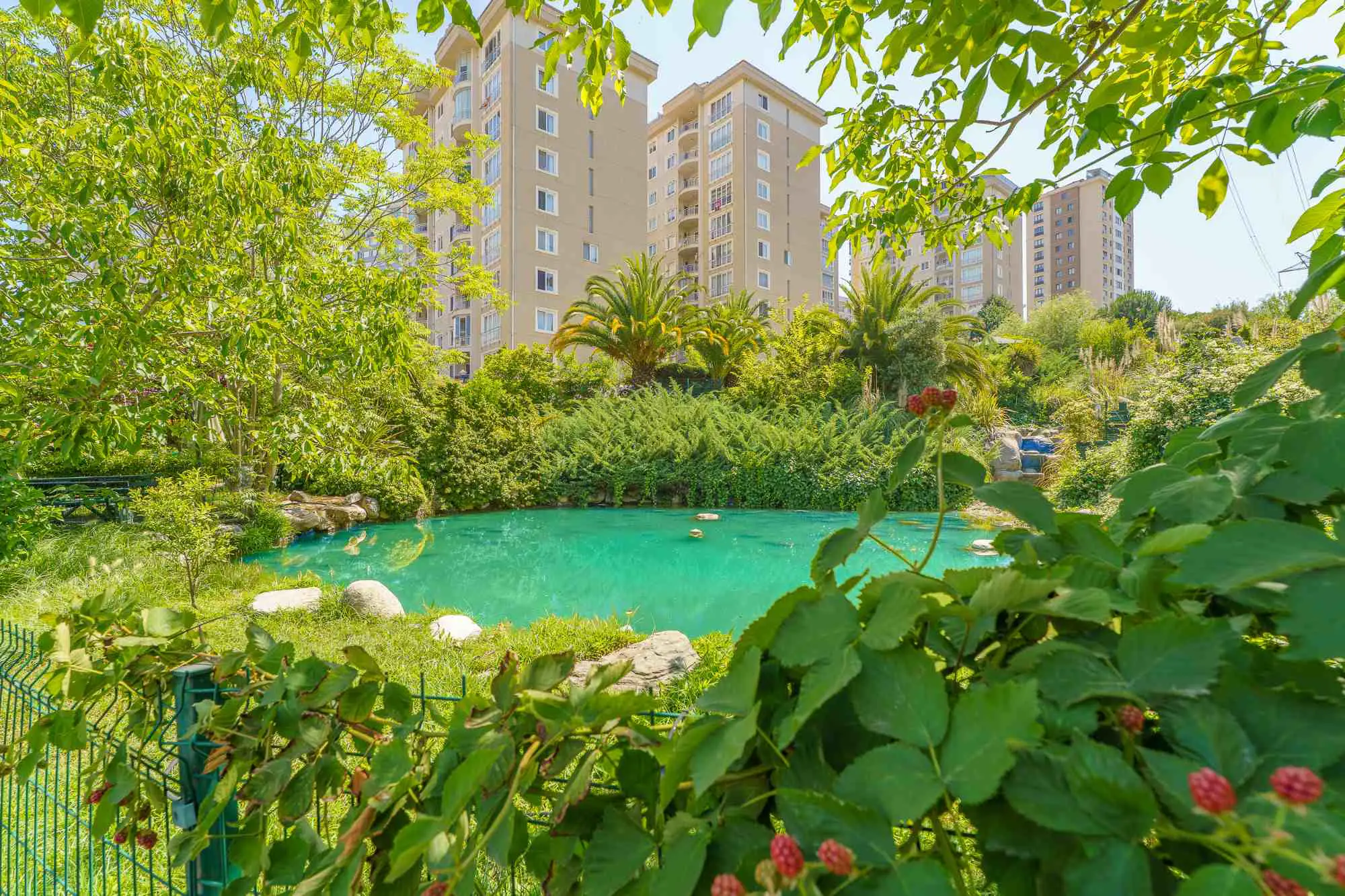 Property image 31