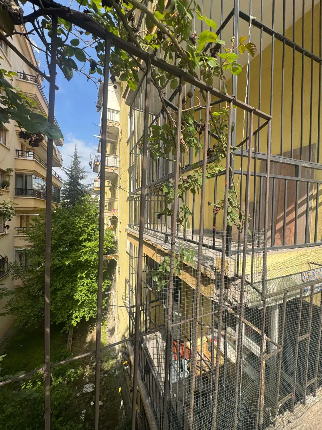 Property image 23