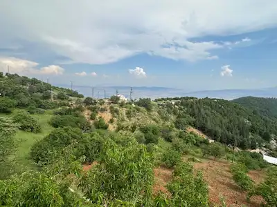 REMAX YENİ'DEN KUZEY ÇEVRE YOLU ÜSTÜNDE SATILIK BAĞ & BAĞ EVİ
