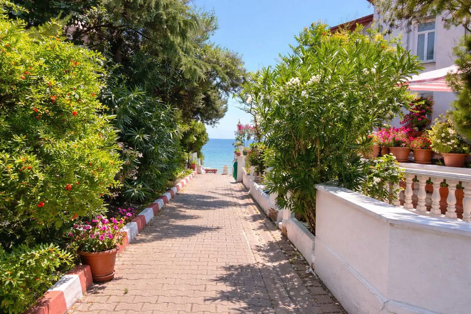Property image 24
