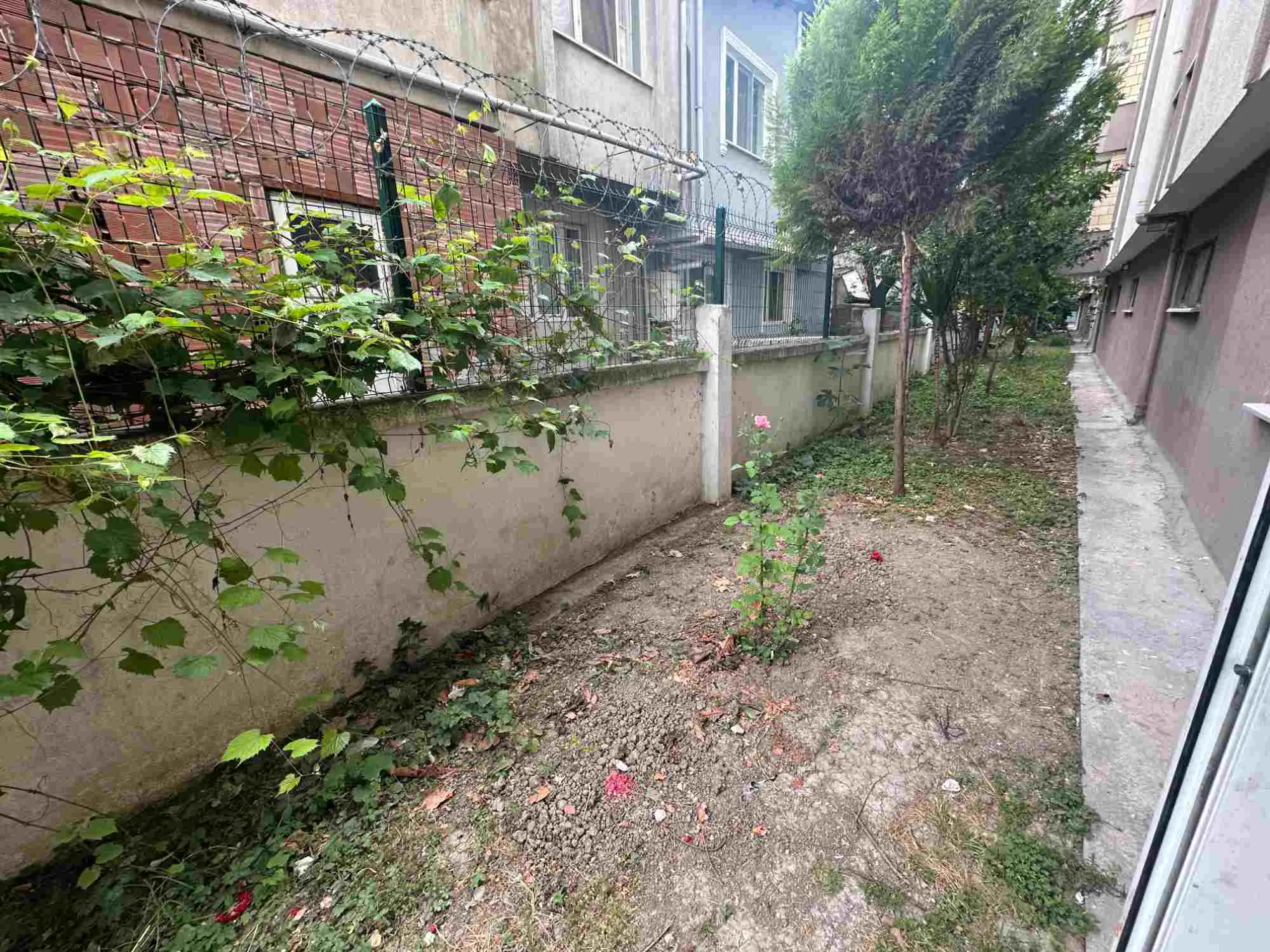 Property image 24