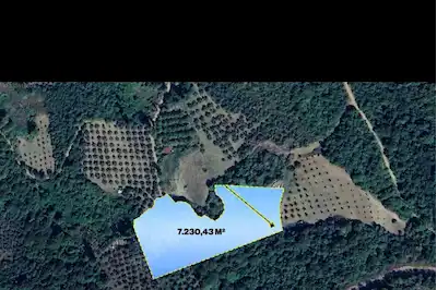 REMAXMAVİ'DEN BURSA ORHANGAZI AKHAREMDE 7.230 M² SATILIK TARLA