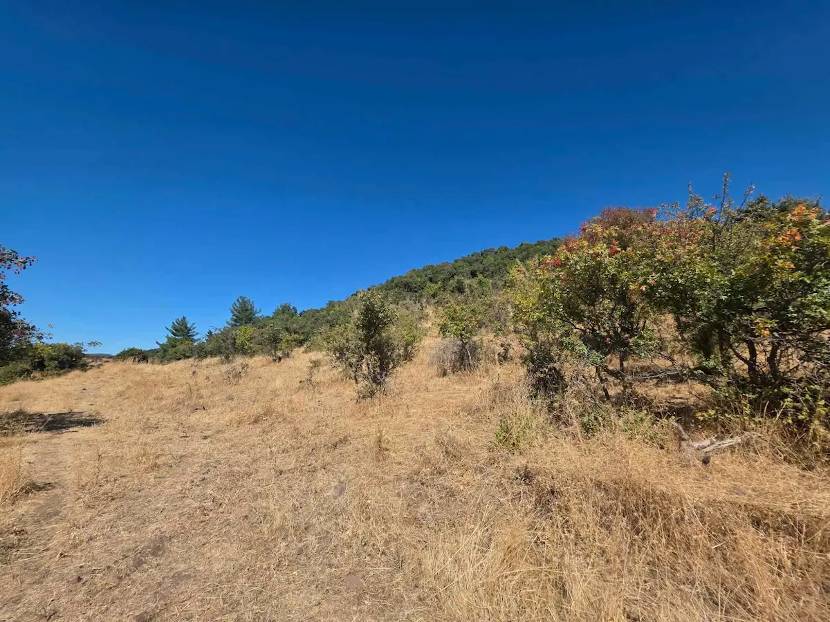 ÇANAKKALE AYVACIK PAŞAKÖYDE EKOTURİZM İMARLI SATILIK ARSA 