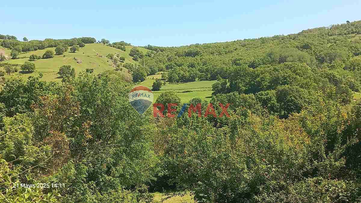 KAPAKLIDA ACİL SATILIK FIRSAT TARLA