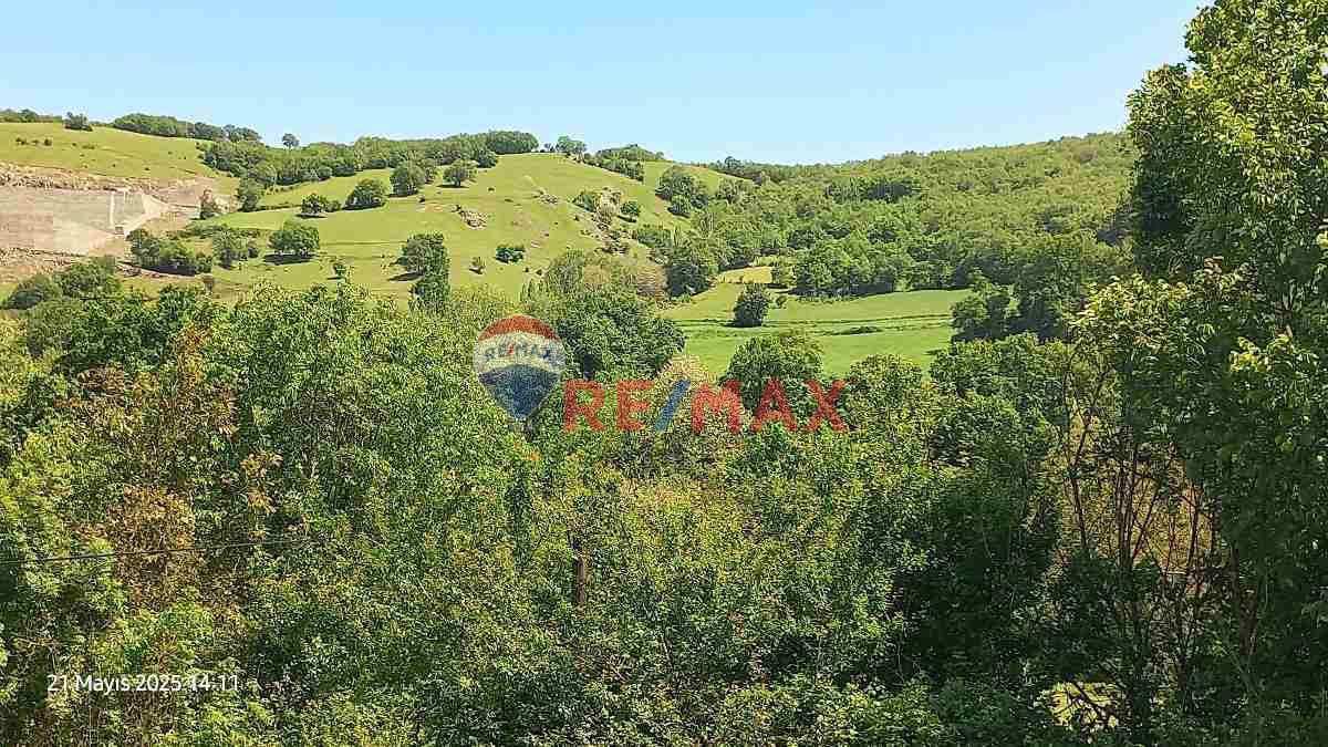 KAPAKLIDA ACİL SATILIK FIRSAT TARLA