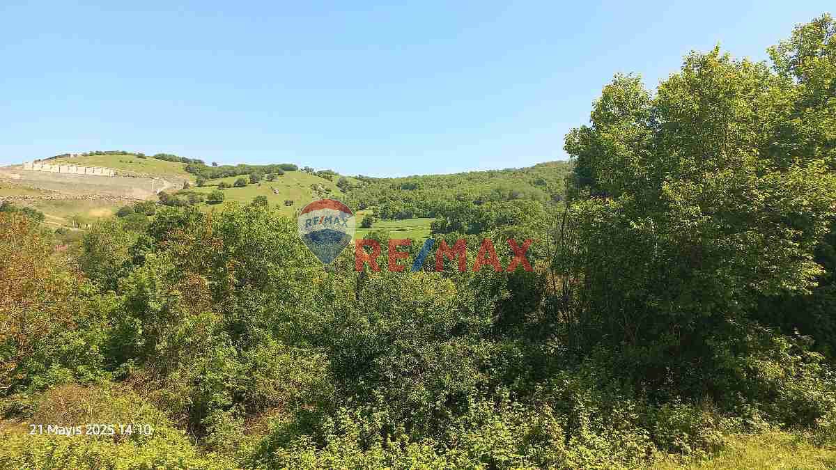 KAPAKLIDA ACİL SATILIK FIRSAT TARLA